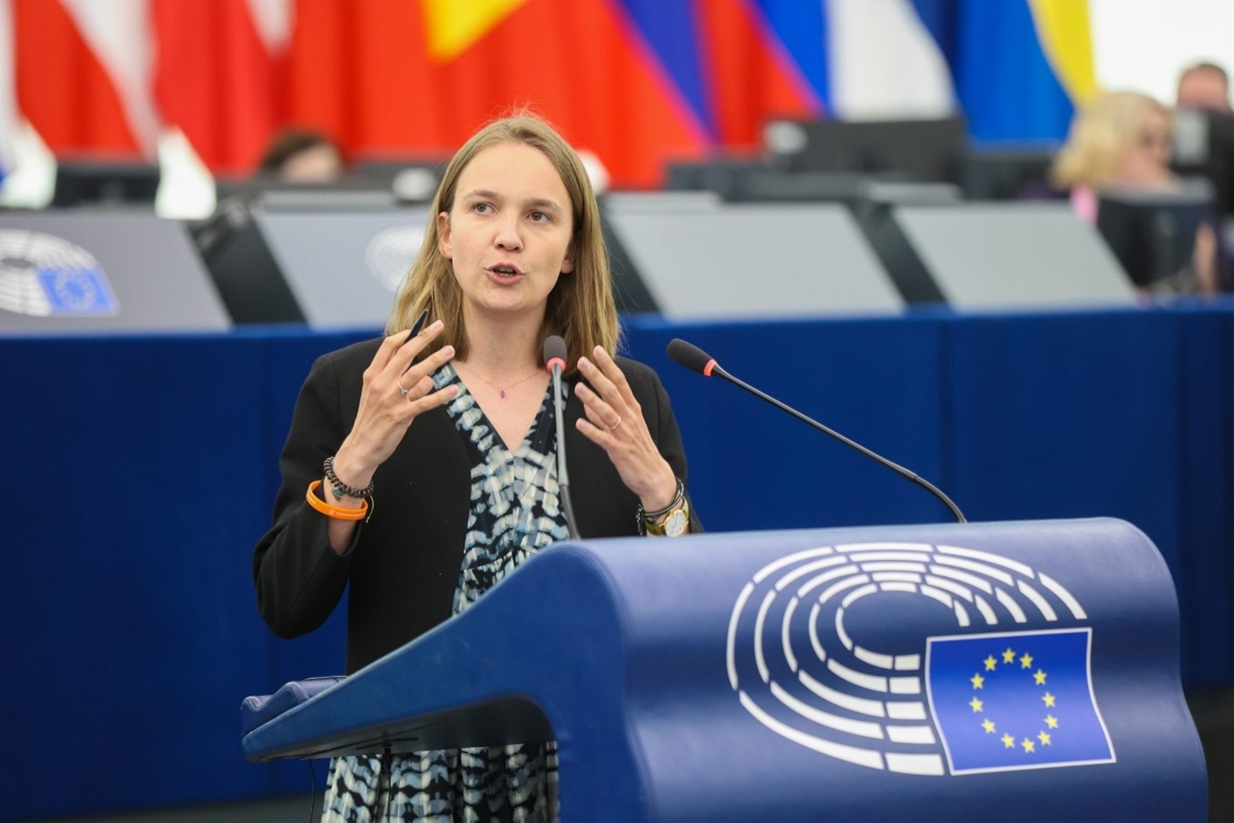 The European Parliament puts priority on grids and highlights their key ...